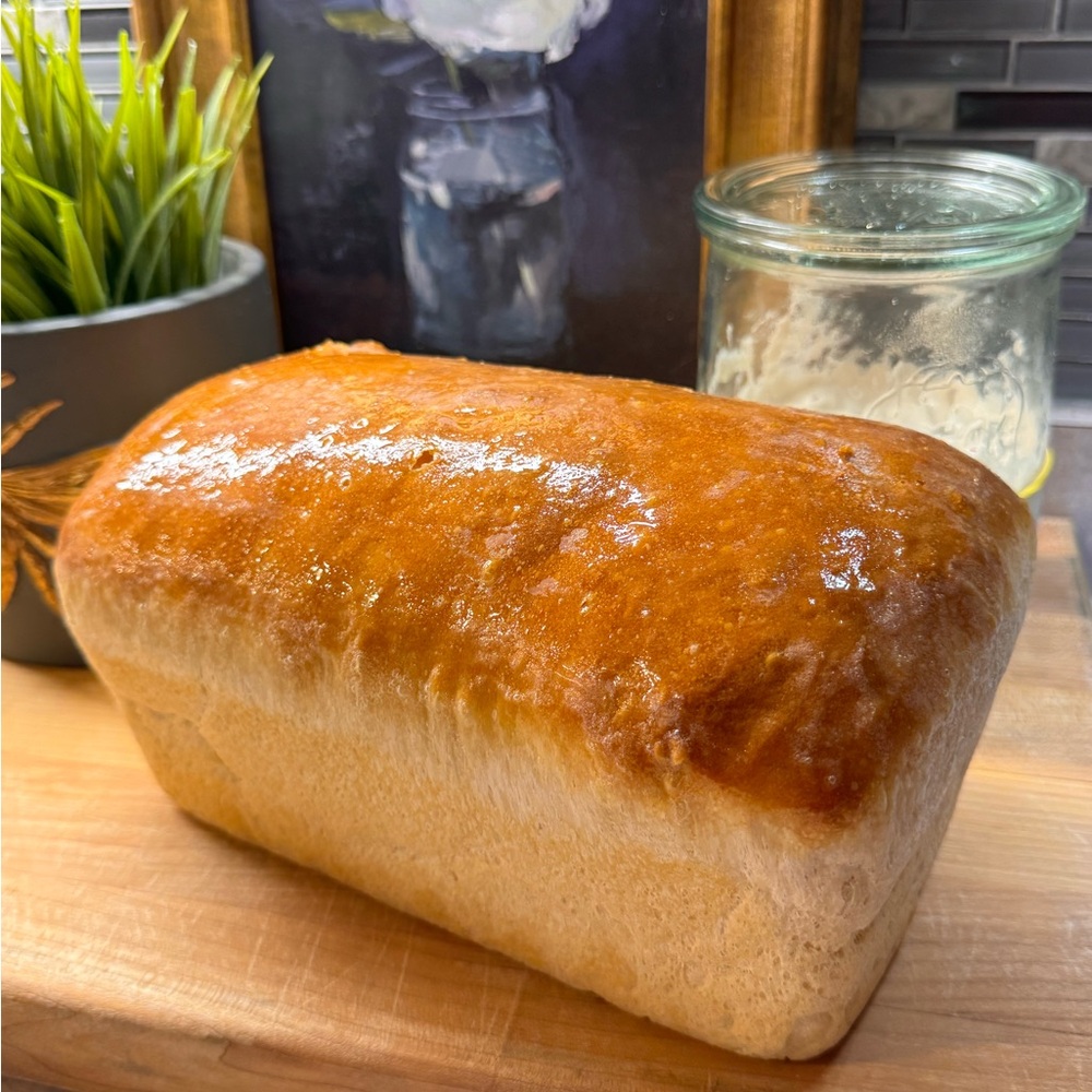 Dehydrated Sourdough Starter